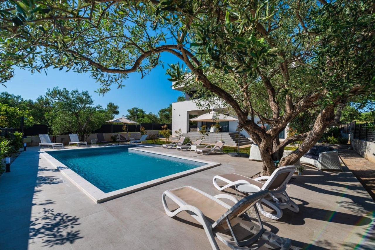 Crowonder Sun Dance Apartments With Heated Swimming Pool Seaview And Garden Sveti Filip i Jakov Exterior photo